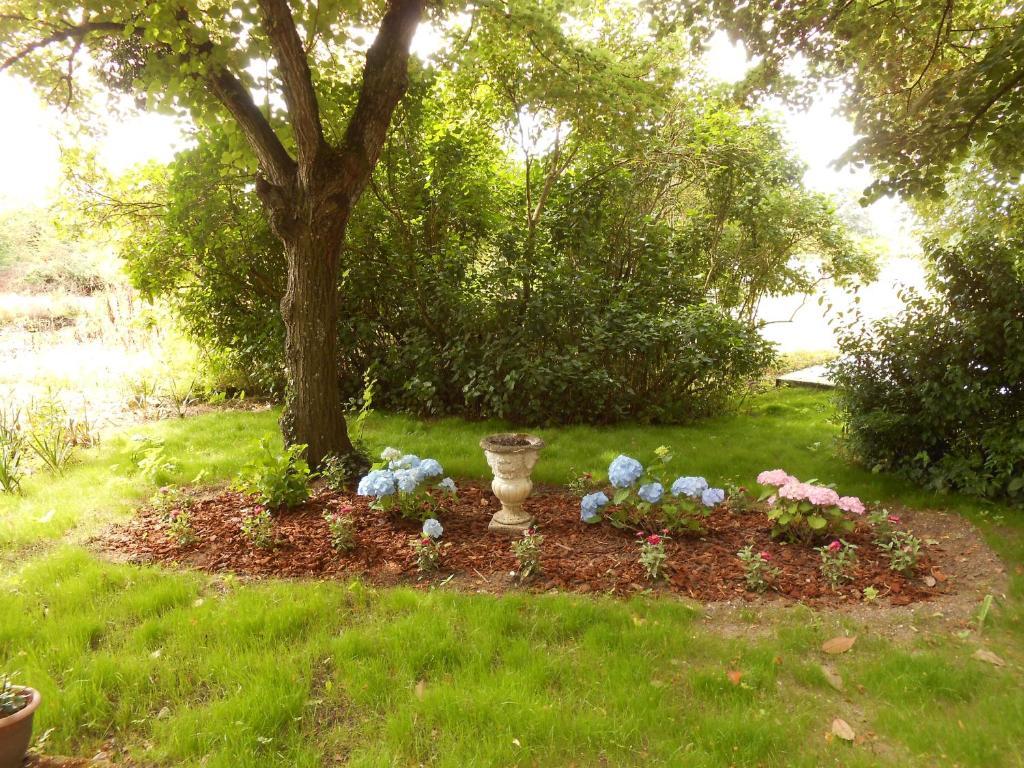 سوموور Clos Du Bois Brard B&B المظهر الخارجي الصورة