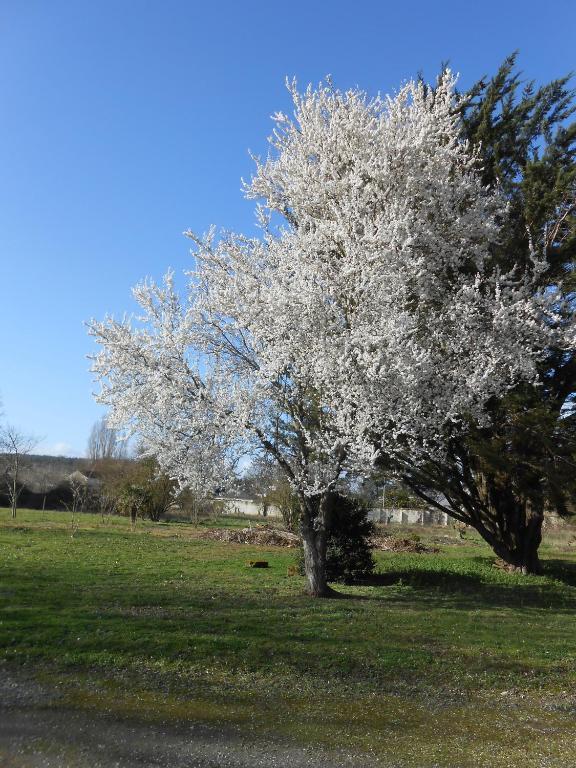 سوموور Clos Du Bois Brard B&B المظهر الخارجي الصورة
