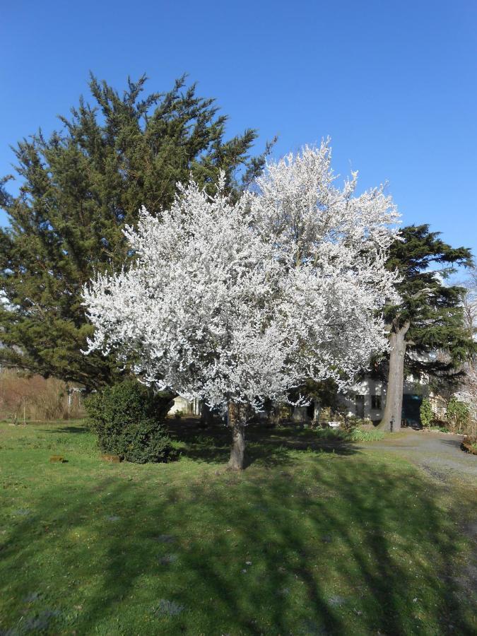 سوموور Clos Du Bois Brard B&B المظهر الخارجي الصورة